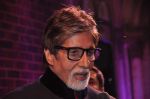 Amitabh Bachchan at Stardust Awards 2013 red carpet in Mumbai on 26th jan 2013 (645).JPG